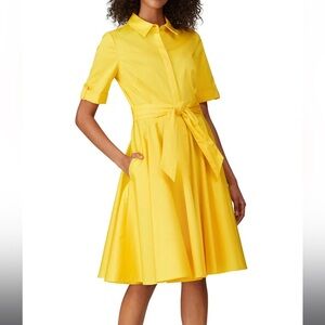 Badgley Mischka Shirt Collar Button Down Tie Waist Flare Short Sleeve Mini Dress